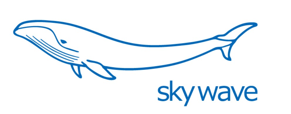 sky wave